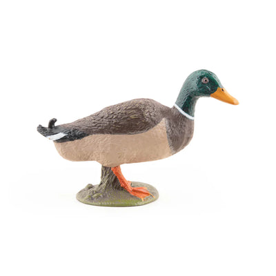 Papo Canard colvert