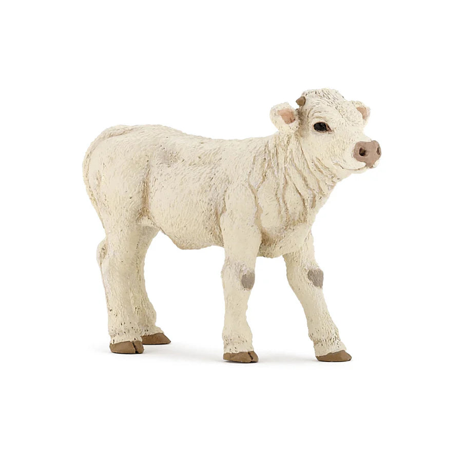 Papo Charolais Veal