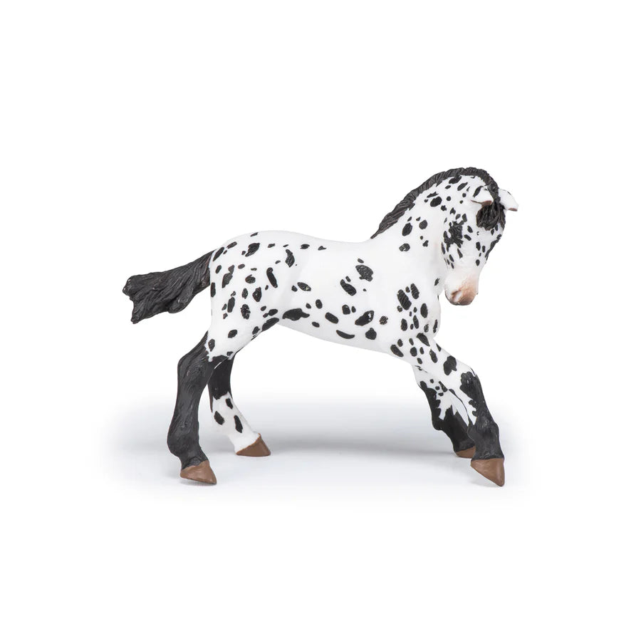 Papo Appaloosa Fohlen, schwarz