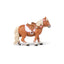 Shetland Pony Papo with saddle