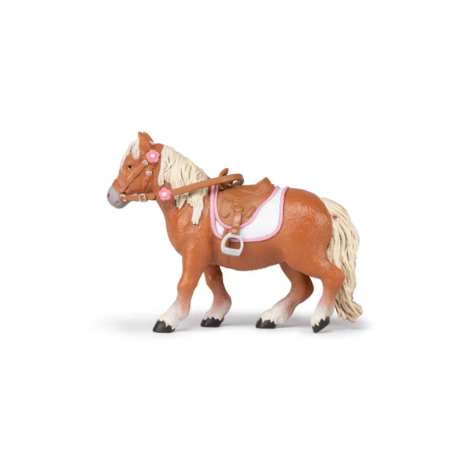 Shetland Pony Papo with saddle