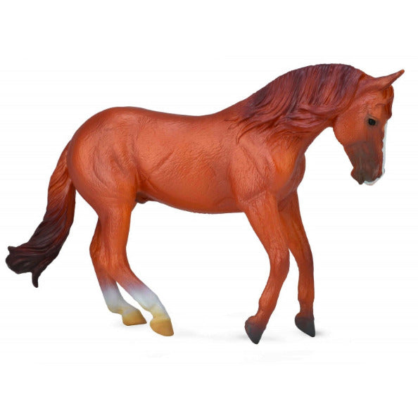 CollectA 88712 Australian Stock Horse
