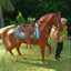 Lot de 2 tapis western (1:12)