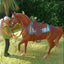 Lot de 2 tapis western (1:12)