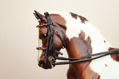 Bride de dressage tricolore (1:9)