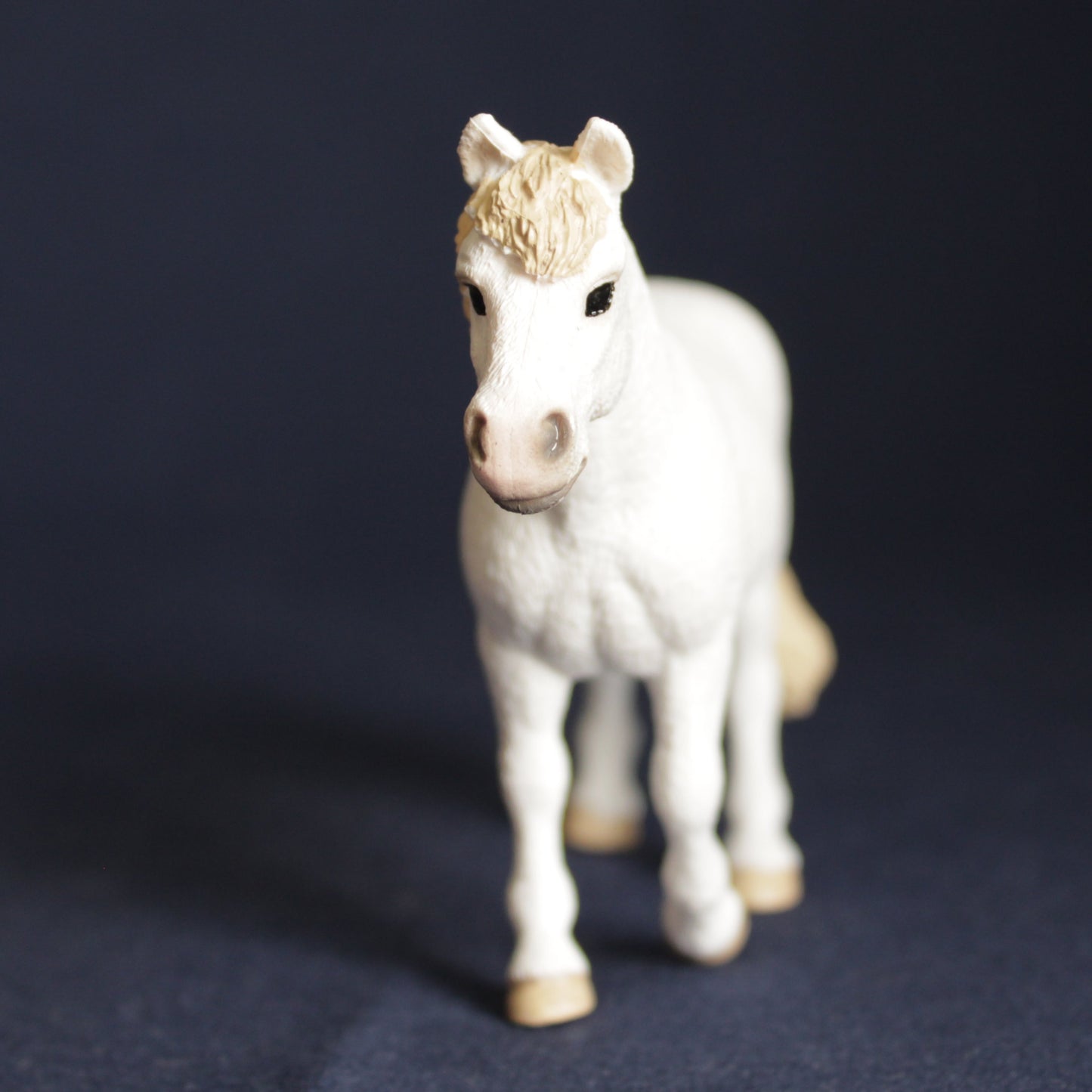 Schleich 42423 Ponette Dartmoor Exclusif