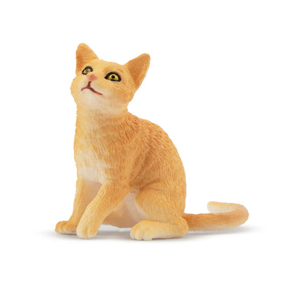 Toymany Chat Tabby orange assis