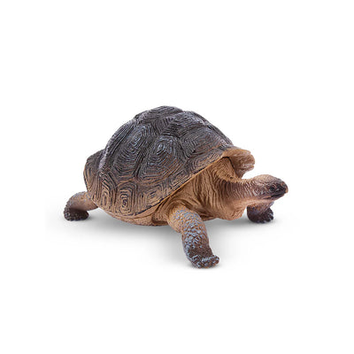 Toymany Tortue des Galapagos