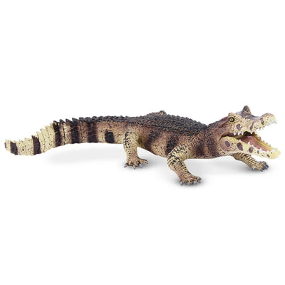 Toymany Caïman Noir