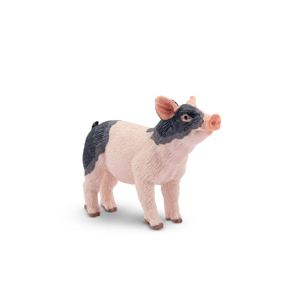 Toymany Cochon Pietrain porcelet debout
