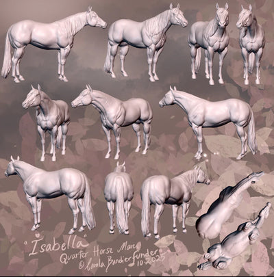 Jument Quarter Horse "Isabella"