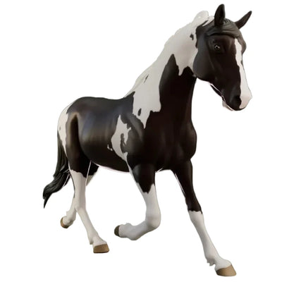 Hongre Spotted Saddle Horse "Scout"