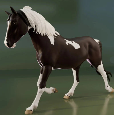 Hongre Spotted Saddle Horse "Scout"