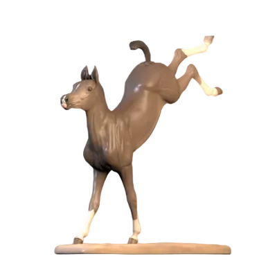 Poulain Arabe "Siesta"