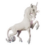 Unicorn by Bexbee Studios