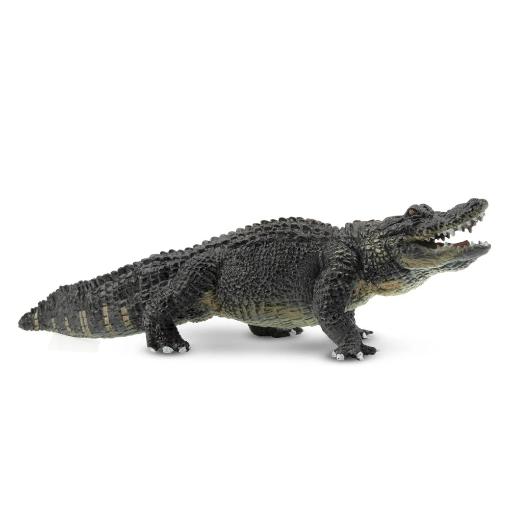Toymany Alligator