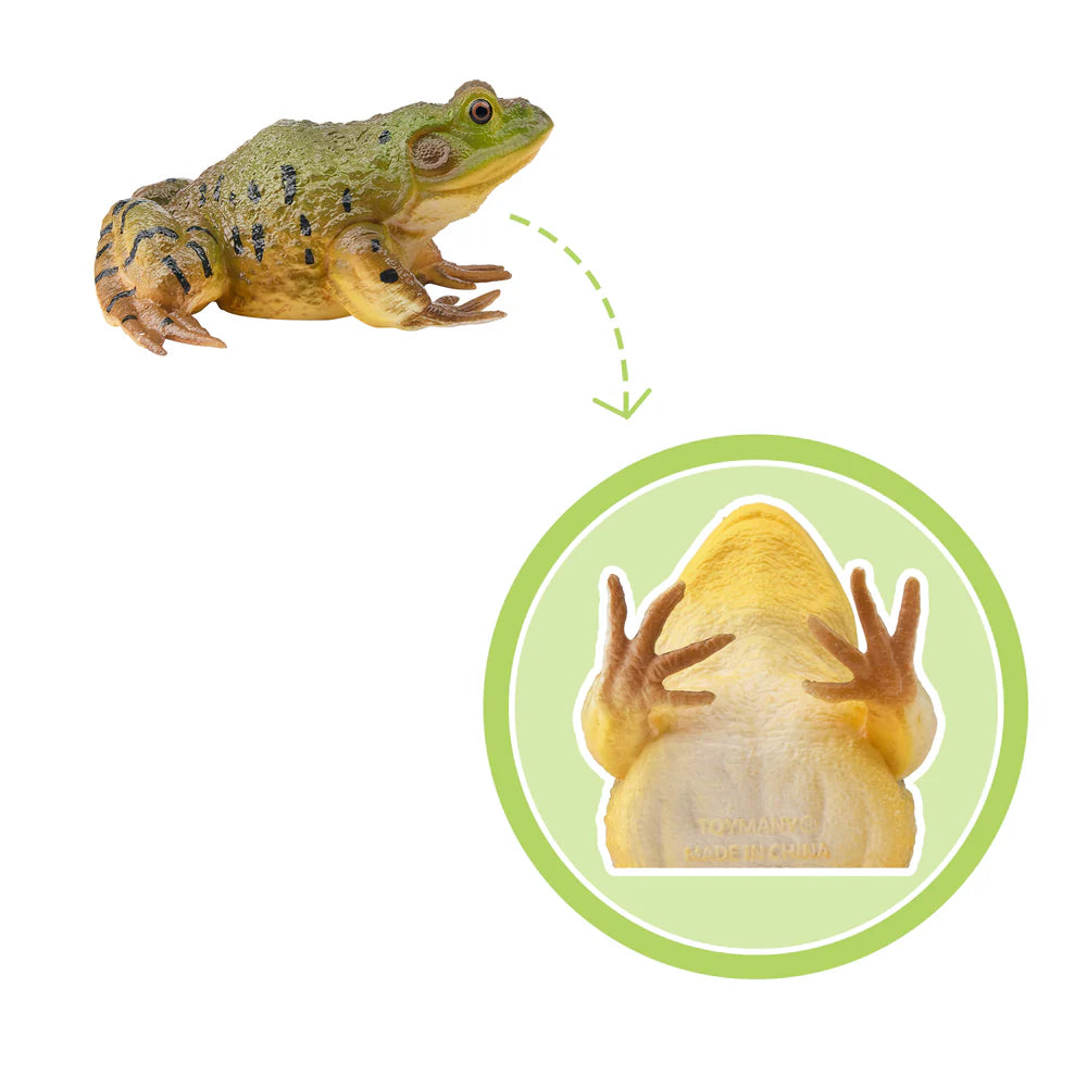 Toymany Sitting Black Bear