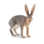 Toymany Hare Antelope