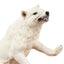 Toymany Arctic Wolf