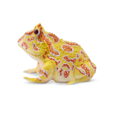 Toymany Grenouille cornue d'Argentine