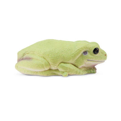 Toymany Grenouille verte Australienne