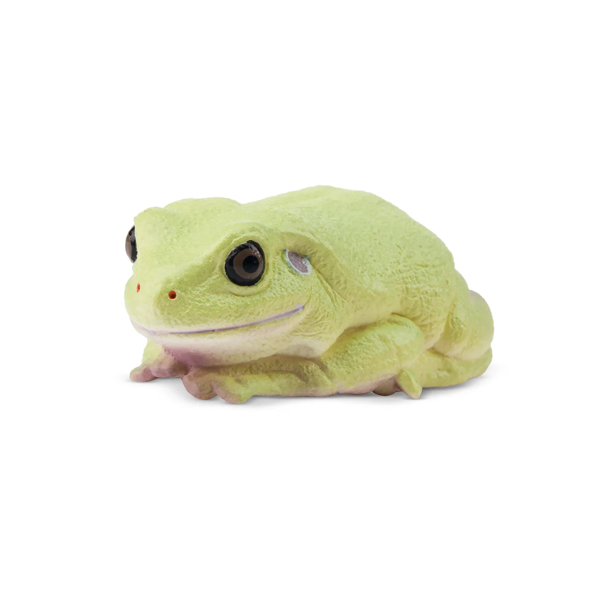 Toymany Grenouille verte Australienne