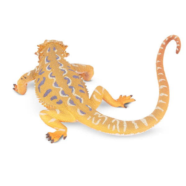 Toymany Dragon barbu