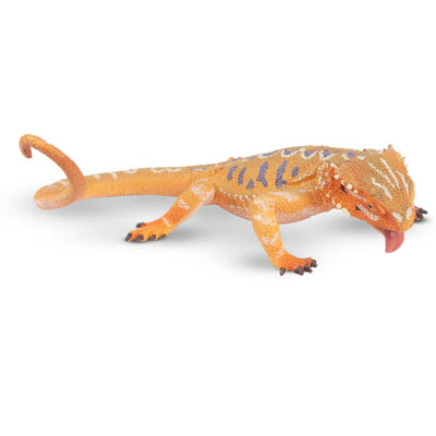 Toymany Dragon barbu