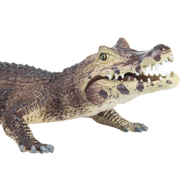 Toymany Caïman Noir