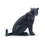 Toymany Black Jaguar Female Sitting