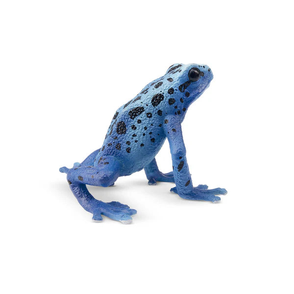 Toymany Grenouille venimeuse bleue