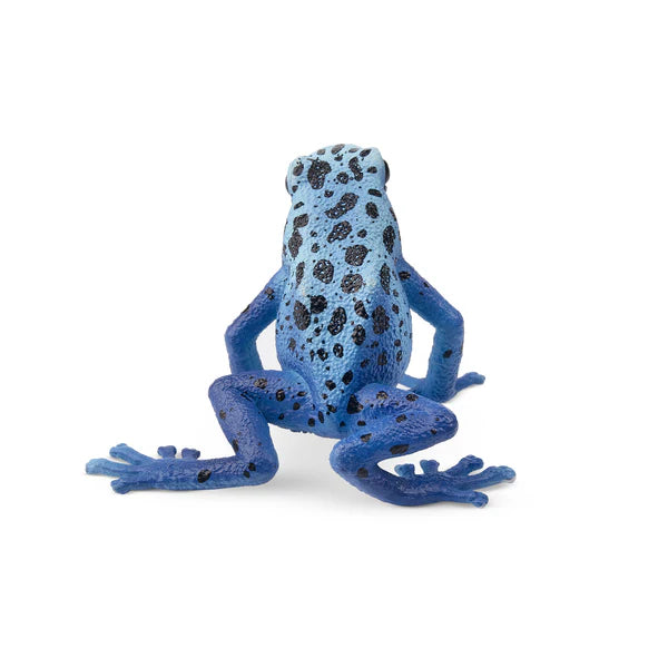 Toymany Grenouille venimeuse bleue