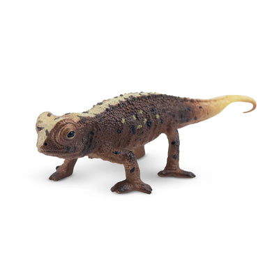 Toymany Brookesia Micra