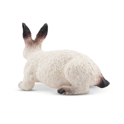Toymany Lapin Californien