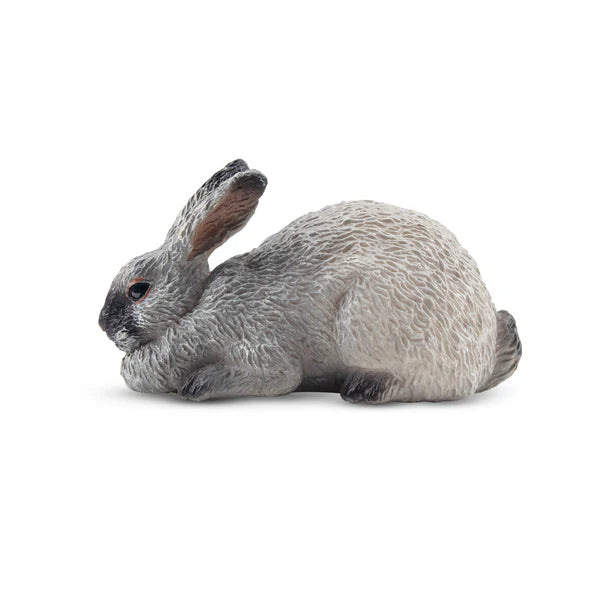 Toymany Lapin Argenté de Champagne