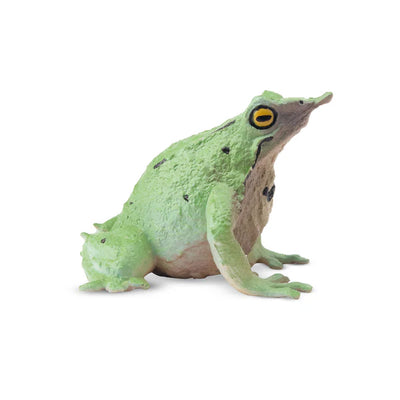 Toymany Grenouille de Darwin
