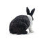 Toymany Deutscher Hase