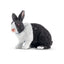 Toymany Deutscher Hase