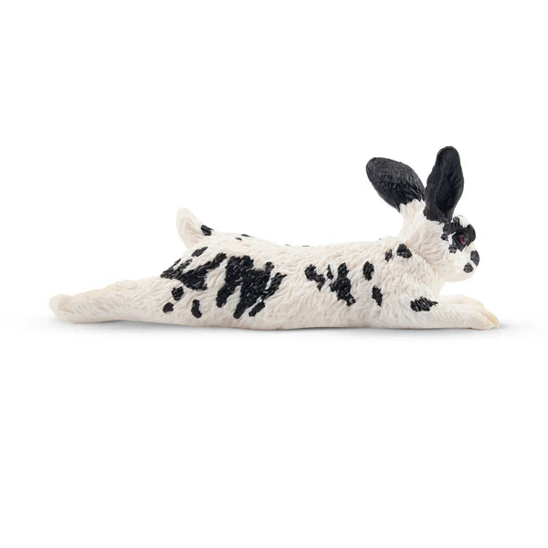 Toymany Spotted Rabbit English