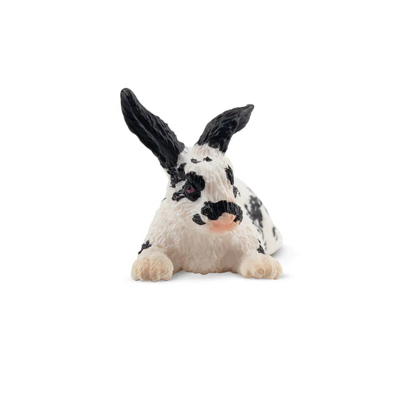 Toymany Spotted Rabbit English