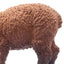 Toymany Ovin Agneau marron broutant