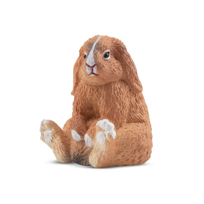 Toymany Lapin Bélier français