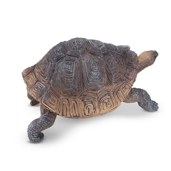 Toymany Tortue des Galapagos
