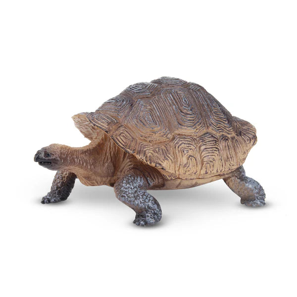 Toymany Tortue des Galapagos