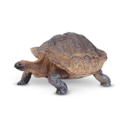 Toymany Tortue des Galapagos
