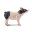Toymany Cochon Pietrain porcelet debout