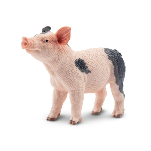Toymany Cochon Pietrain porcelet debout