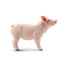 Toymany Cochon porcelet debout