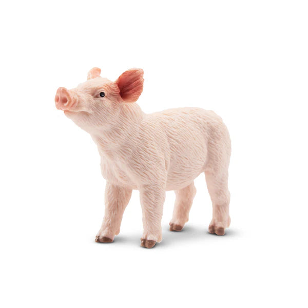 Toymany Cochon porcelet debout