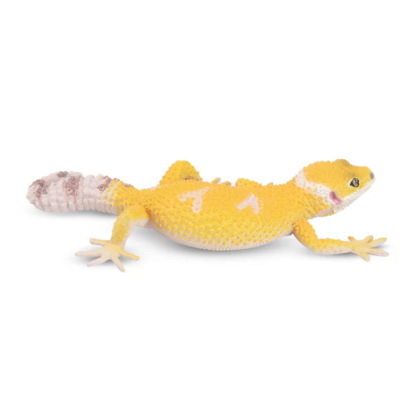 Toymany Gecko léopard